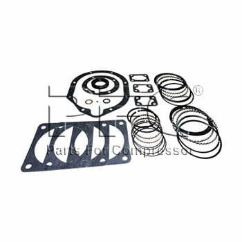 Ring - Gasket Kit 32194003 Replacement
