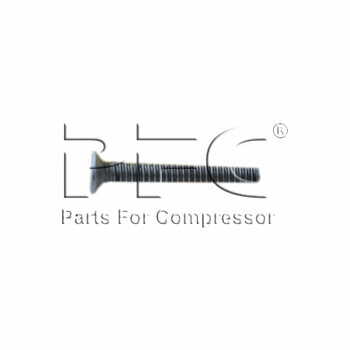 Screw Flt Head Mach 77A2X101 Replacement