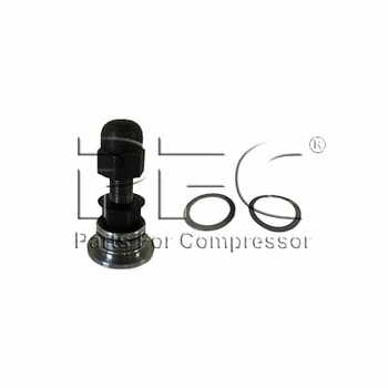 Valve 20GA Complete 31517725 Replacement