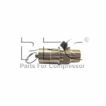 Valve Safety 1/2x65(S) 30357842IM Replacement